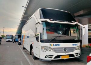 Libur Nataru Tahun Ini, DAMRI Siapkan 1.324 Bus untuk Rute Lokal dan Luar Negeri