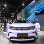 Penjualan Ritel BYD Dolphin di Cina, Januari – Oktober 2024 Ambrol 45 Persen