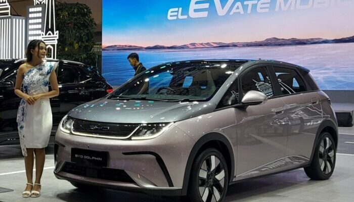 Januari –September 2024, Penjualan Ritel BYD Dolphin dan Atto3 di Cina Masih Anjlok