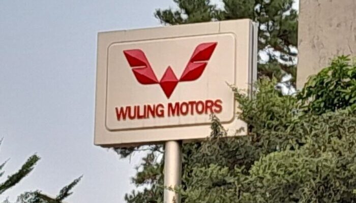 Begini Rapor Penjualan Mobil Wuling dan BYD di RI Selama Januari – November 2024